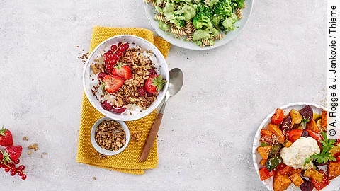 Tableau mit Gerichten für einen reizarmen Tag: Müsli, Vollkornnudeln mit Brokkoli, Grillgemüse mit Hummus