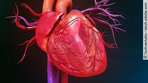 Illustration: Anatomie des menschlichen Herzens auf schwarzem Hintergrund