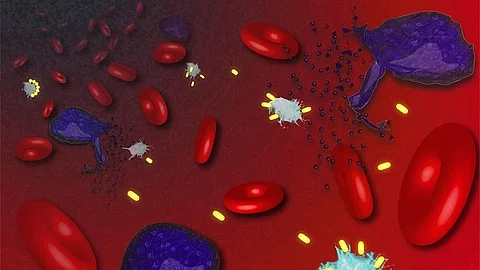 Immunabwehr: infizierte Zellen, ASC-Specks, Nanobodies