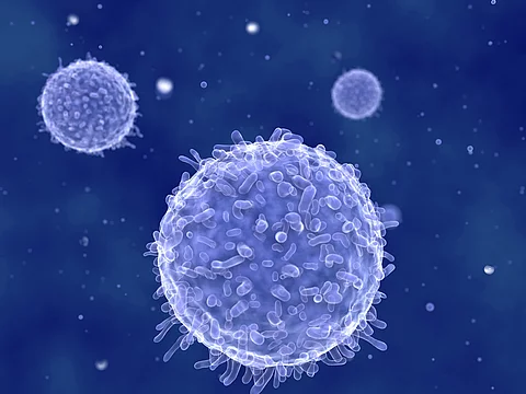 Medizinische Illustration: Lymphozyten