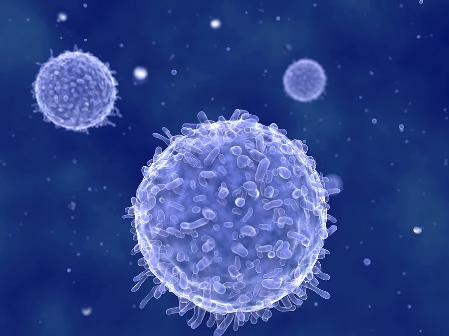 Lymphozyten Medizinische Illustration: Lymphozyten
