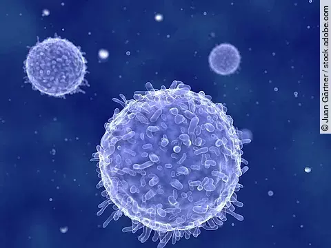 Medizinische Illustration: Lymphozyten