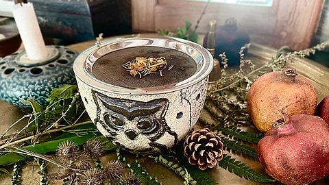 Weihnachtssymbol Stechpalme  Natrlich