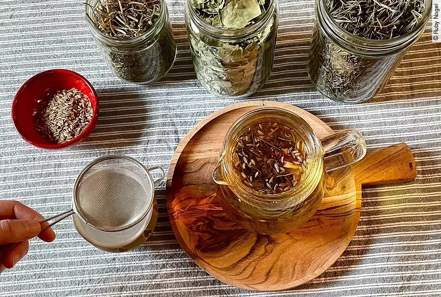 Gläser mit getrockneten Kräutern und ein Glas frisch aufgebrühter Kräutertee