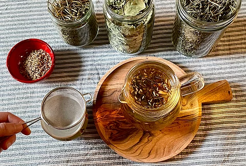 Gläser mit getrockneten Kräutern und ein Glas frisch aufgebrühter Kräutertee