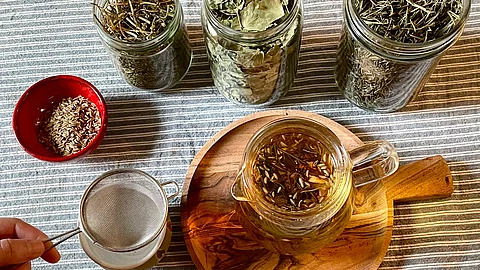 Gläser mit getrockneten Kräutern und ein Glas frisch aufgebrühter Kräutertee