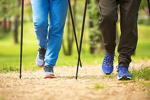 Zwei Personen beim Nordic Walking im Wald.