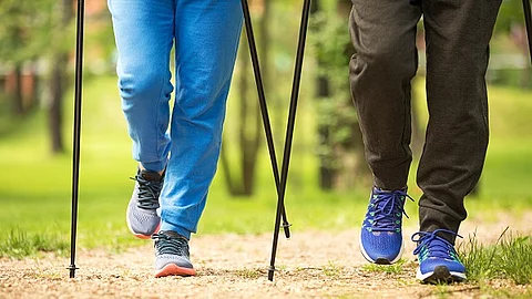 Zwei Personen beim Nordic Walking im Wald.