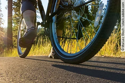 Fahrradfahrer auf sonniger Waldstraße