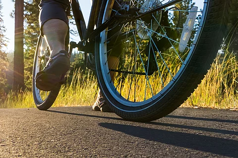 Fahrradfahrer auf sonniger Waldstraße