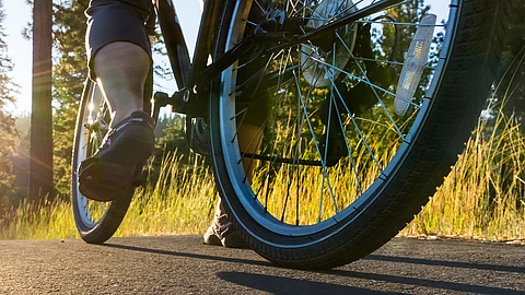 Fahrradfahrer auf sonniger Waldstraße