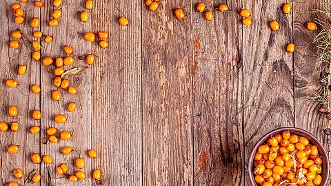 Superfood, Sanddorn, Ernährung, Immunsystem