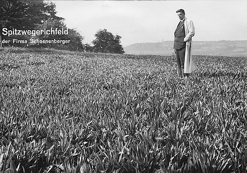 Walter Schoenenberger