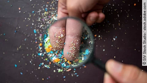 Mikroplastik unter der Lupe