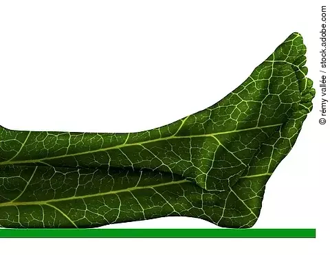 Symbolbild Durchblutung Unterschenkel, 