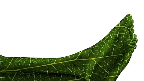 Symbolbild Durchblutung Unterschenkel, 