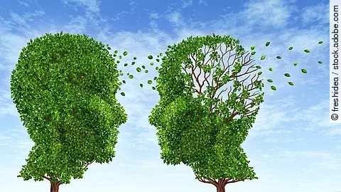 Symbolbild Demenz: Baum in Kopfform mit ausfallenden Blättern