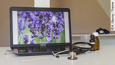 Symbolbild Integrative Medizin: Schreibtisch mit Stethoskop, Laptop mit Lavendel auf dem Screen