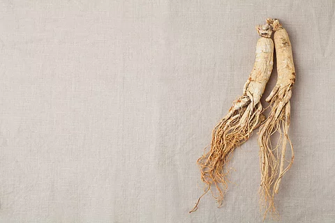 Getrockneter Ginseng