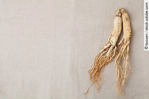 Getrockneter Ginseng