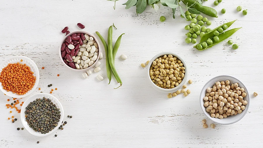 Tableau mit Hülsenfrüchten: Linsen, Erbsen, Bohnen, Kichererbsen