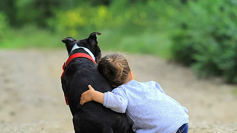 child and dog Kleines Mädchen sitzt neben Hund