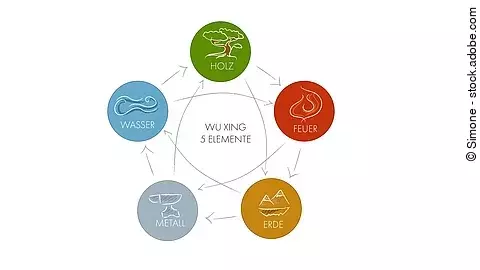 5 Elemente TCM