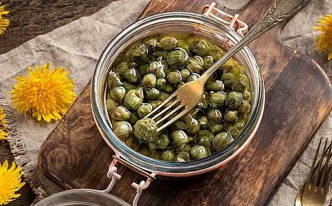 Superfood Knospen in Flüssigkeit im Einmachglas