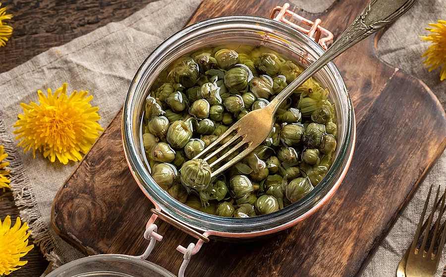 Superfood Knospen in Flüssigkeit im Einmachglas