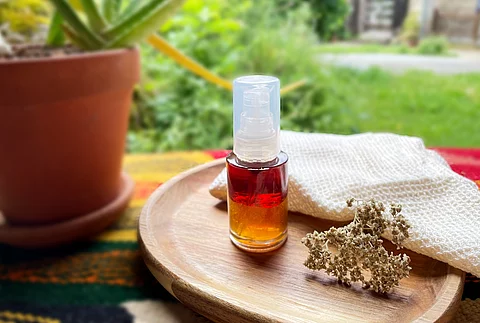 Braunfläschchen mit Hautlotion arrangiert mit einer Aloepflanze auf einem Holztisch