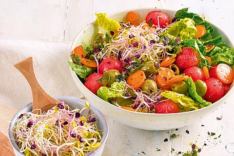 Mikrogrün-Salat