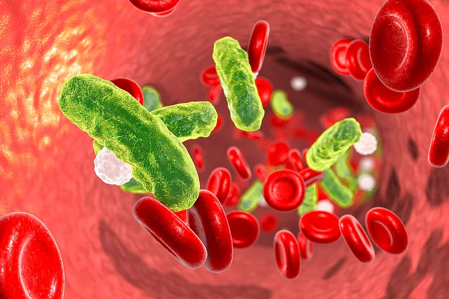 Illustration: Bakterien im Blut