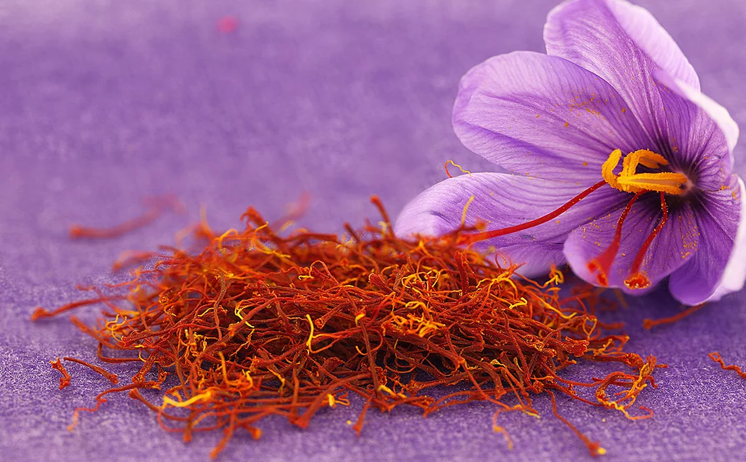 Safranblüte