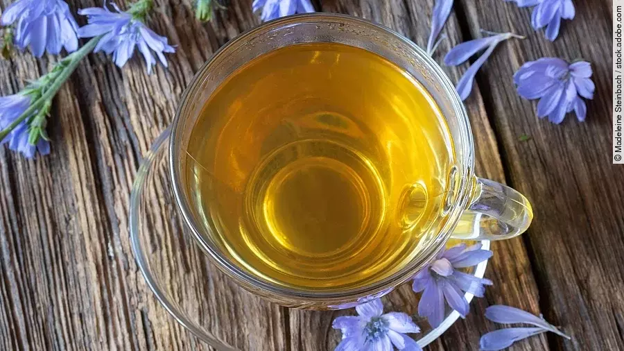 Ein Glas Tee, daneben Blüten der Wegwarte auf Holzuntergrund