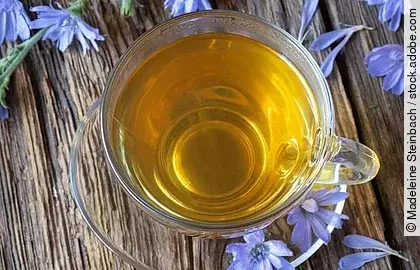 Ein Glas Tee, daneben Blüten der Wegwarte auf Holzuntergrund