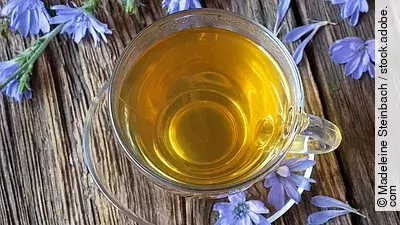 Ein Glas Tee, daneben Blüten der Wegwarte auf Holzuntergrund