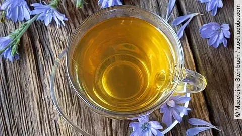 Ein Glas Tee, daneben Blüten der Wegwarte auf Holzuntergrund