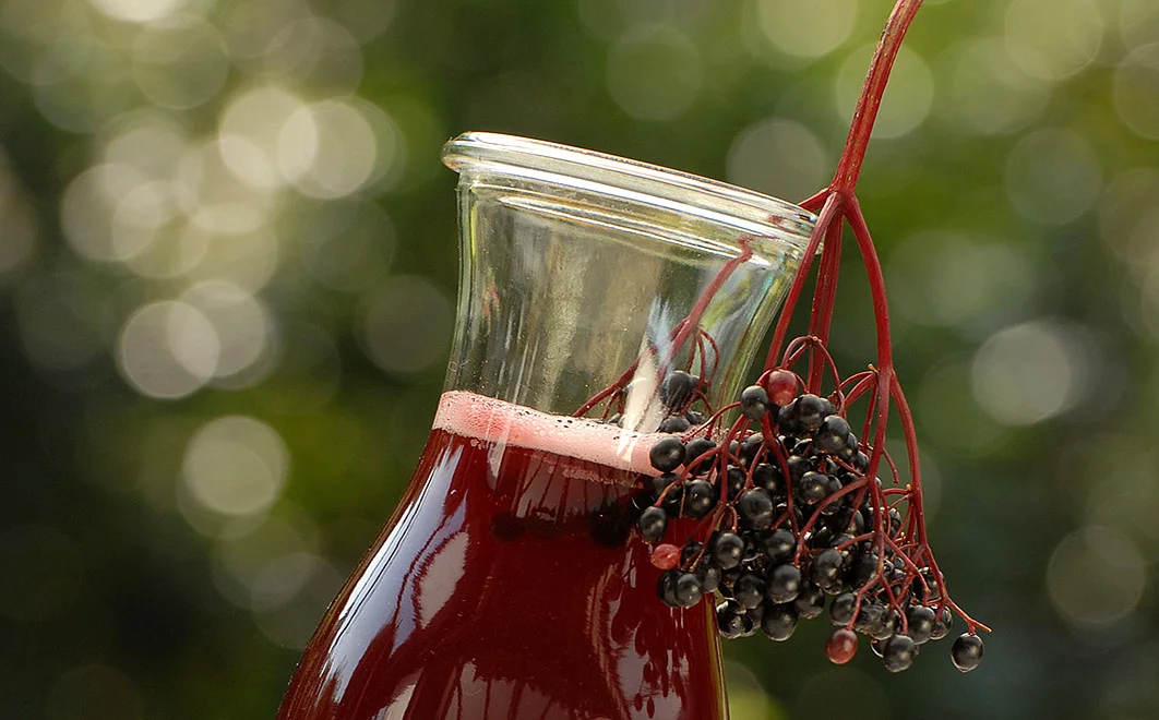 Glas-Karaffe gefüllt mit Holundersaft, dekoriert mit schwarzen Holunderbeeren.