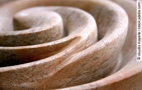 Steinschnecke in der Nahaufnahme.