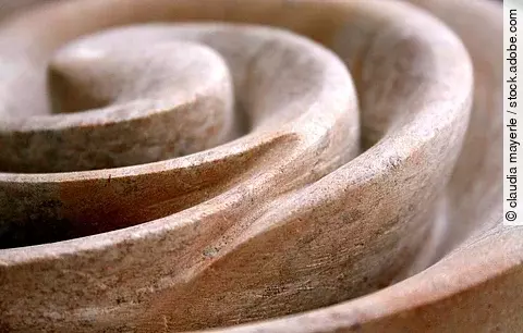 Steinschnecke in der Nahaufnahme.