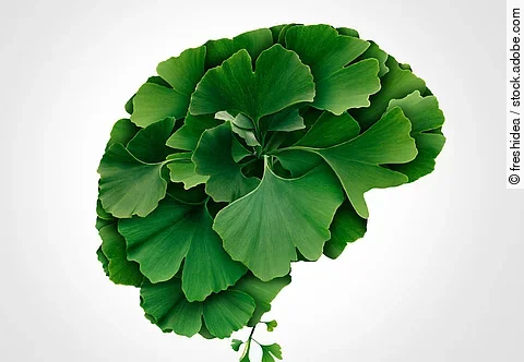 Ginkgoblätter in Gehirnform