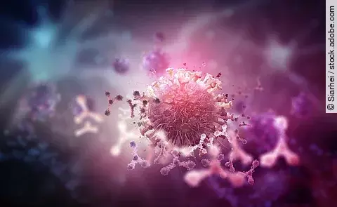 Illustration: Virus und Antikörper