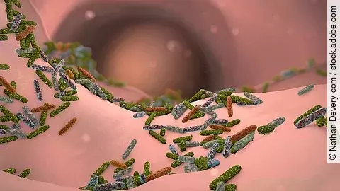 Darm Mikrobiom Animation