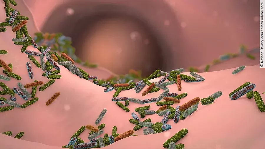 Darm Mikrobiom Animation