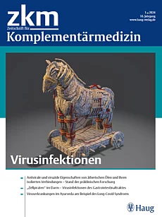 Cover zkm 1/2024