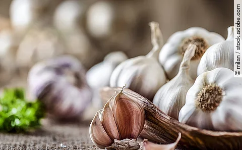 Mehre Knoblauchknollen sowie einzelne Knoblauchzehen auf einem Holztisch.