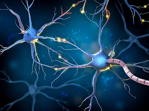 Neuronen grafisch dargestellt (3D Illustration).
