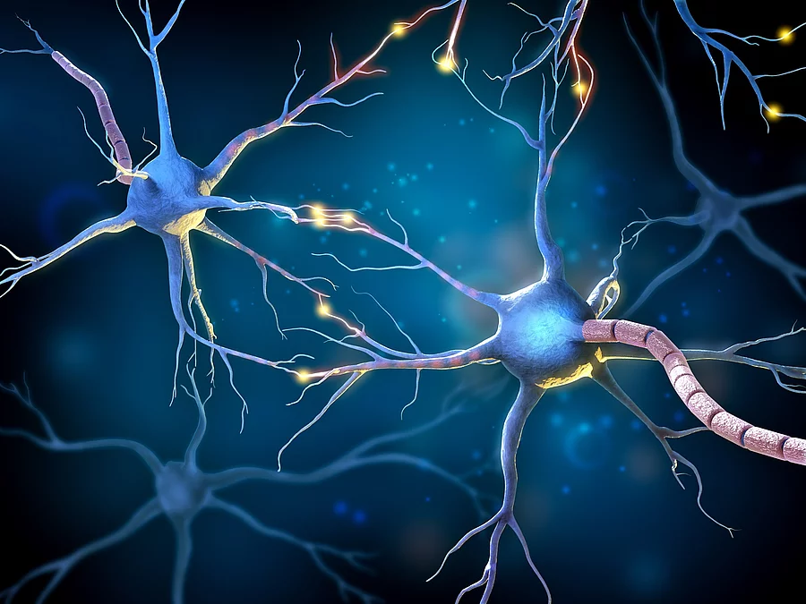 Neuronen grafisch dargestellt (3D Illustration).