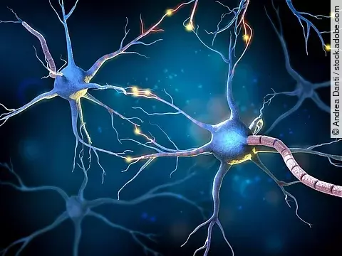 Neuronen grafisch dargestellt (3D Illustration).