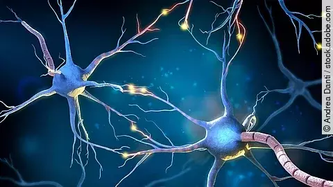 Neuronen grafisch dargestellt (3D Illustration).